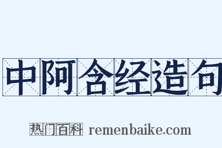 中阿含经造句是什么意思的图片